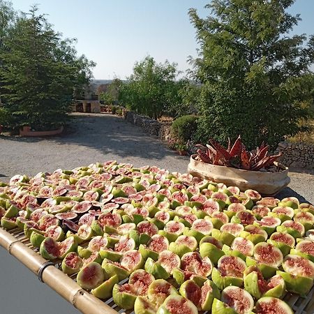 Oniro Specchia Bed & Breakfast Exterior photo